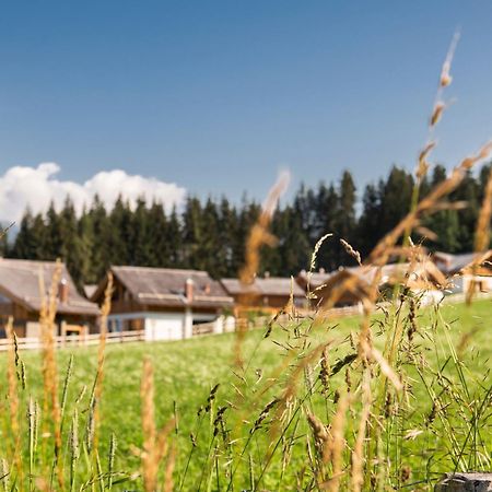 Lerchpeuntgut Alpenfreud Apartments Tamsweg Exterior foto